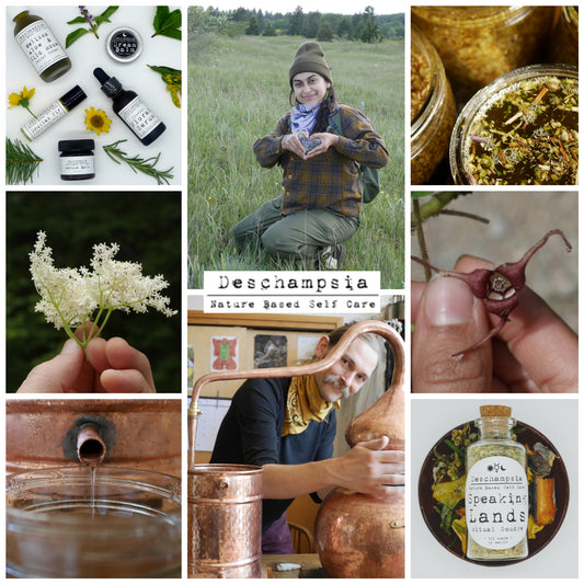 Looking Forward with Hindsight in 2021 - Deschampsia - Nature Based Self Care