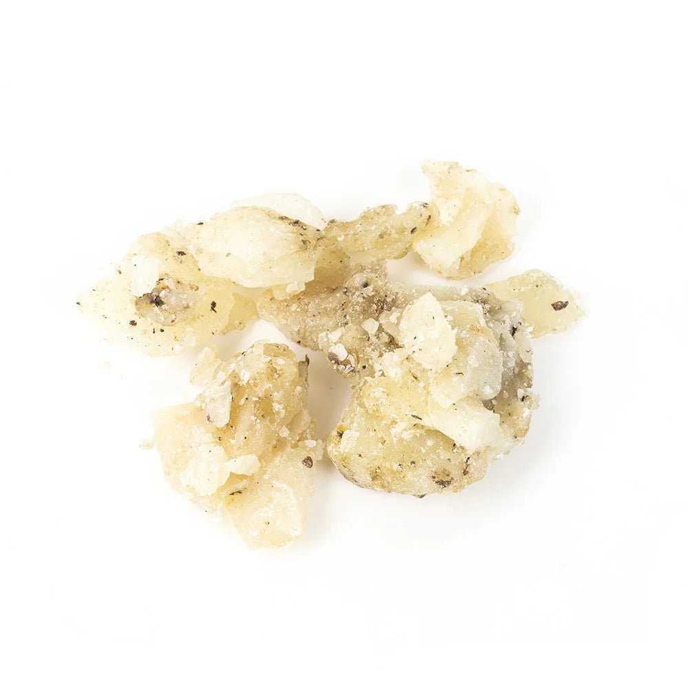 Pieces of white copal resin on a white background