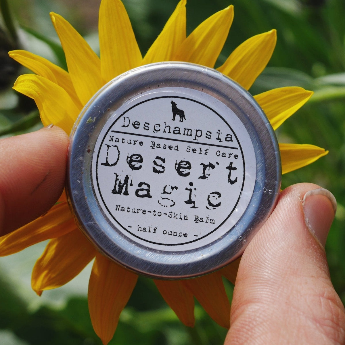 Desert Magic Balm half-ounce tin held in front of a yellow flower