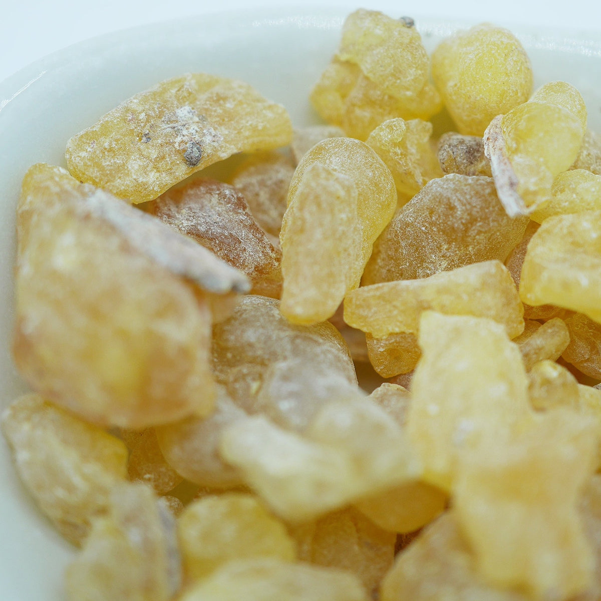 Green Hojari frankincense resin tears in a white bowl