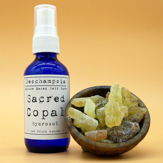 Deschampsia Sacred Copal Hydrosol, small batch Protium copal mist in blue glass bottle