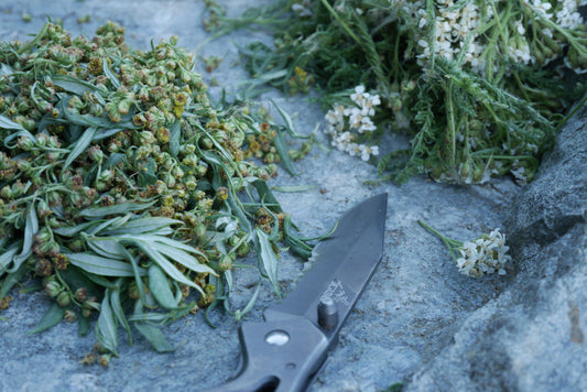 wildcrafted mugwort and yarrow flower