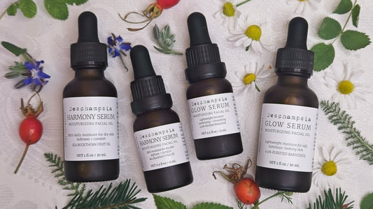 Glow and Harmony: Our Facial Serums, Thoughtfully Enhanced