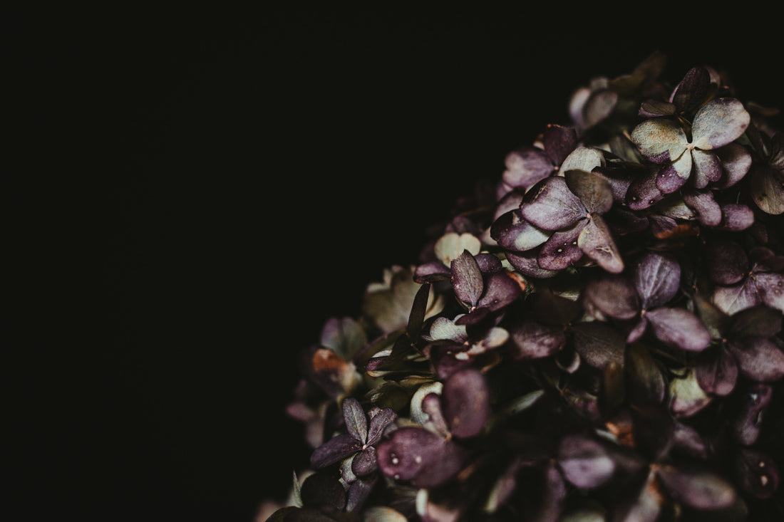 Nature-Based Self Care: A Holistic Approach to Natural Skincare