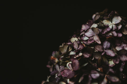 Nature-Based Self Care: A Holistic Approach to Natural Skincare