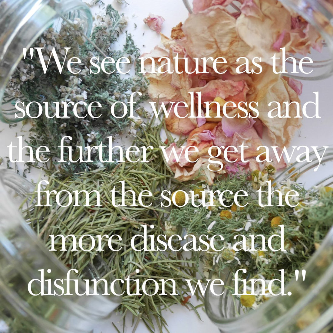 Nature Based Self Care : Holistic Perspectives, Pure Sourcing, and Whole Plants - Deschampsia - Nature Based Self Care