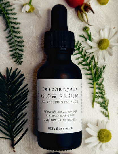Deschampsia Glow Serum 30 mL dropper bottle with chamomile flowers, rosehips and evergreen sprigs on cream fabric.