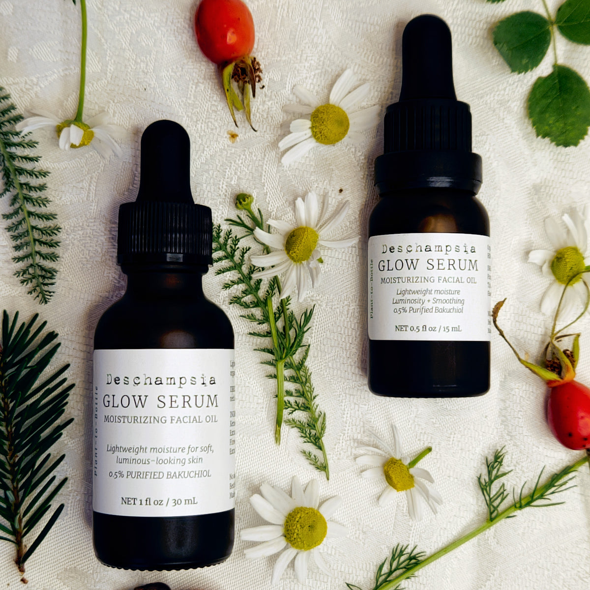 Deschampsia Glow Serum in 15 mL and 30 mL bottles with chamomile flowers, rosehips and botanical sprigs.