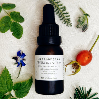 Deschampsia Harmony Serum 15 mL bottle surrounded by blue flowers, a rosehip, green leaves and evergreen sprigs.