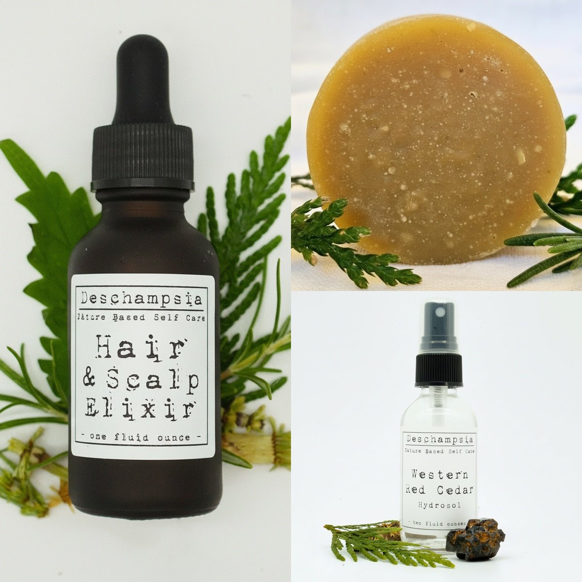 Herbal Hair and Scalp Care Set – Strengthen, Soothe, and Refresh - Deschampsia - Nature Based Self Care