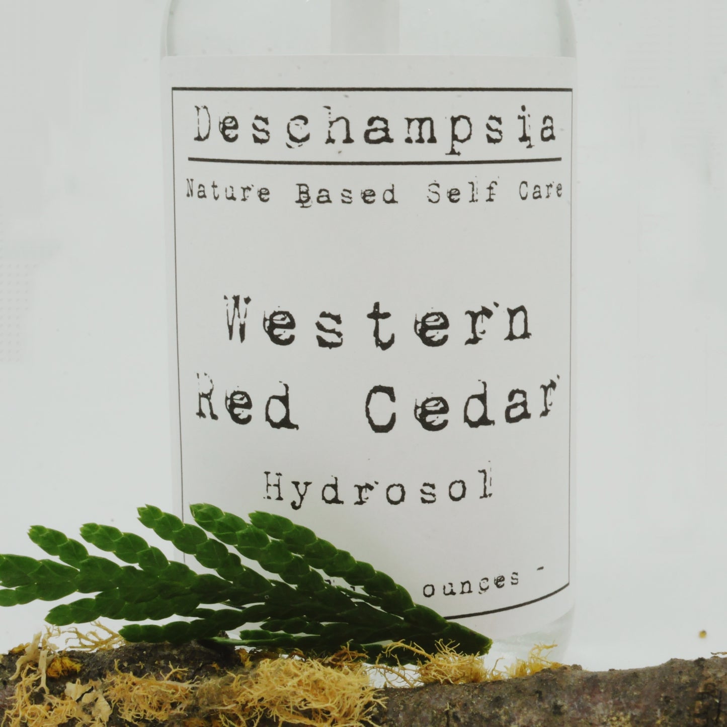 Western Red Cedar Hydrosol - Deschampsia - Nature Based Self Care