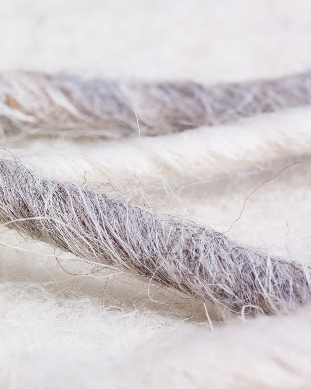 Sweater Fetish Aromatic Body Oil **Seasonal Limited Release - Deschampsia - Nature Based Self Care