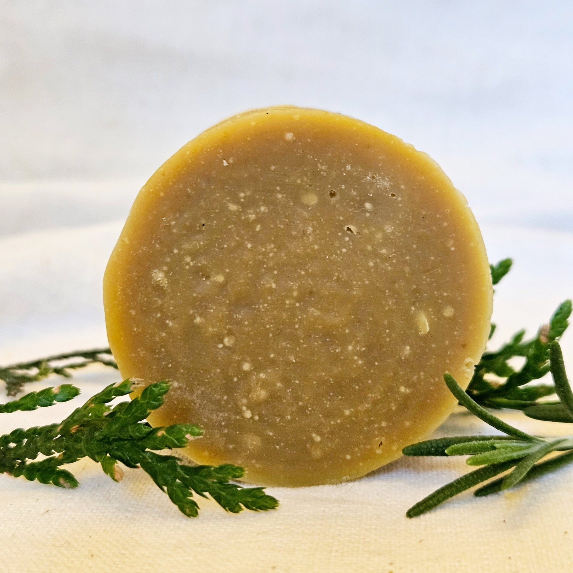 Active Botanical Hair Wash Bar - Deschampsia - Nature Based Self Care