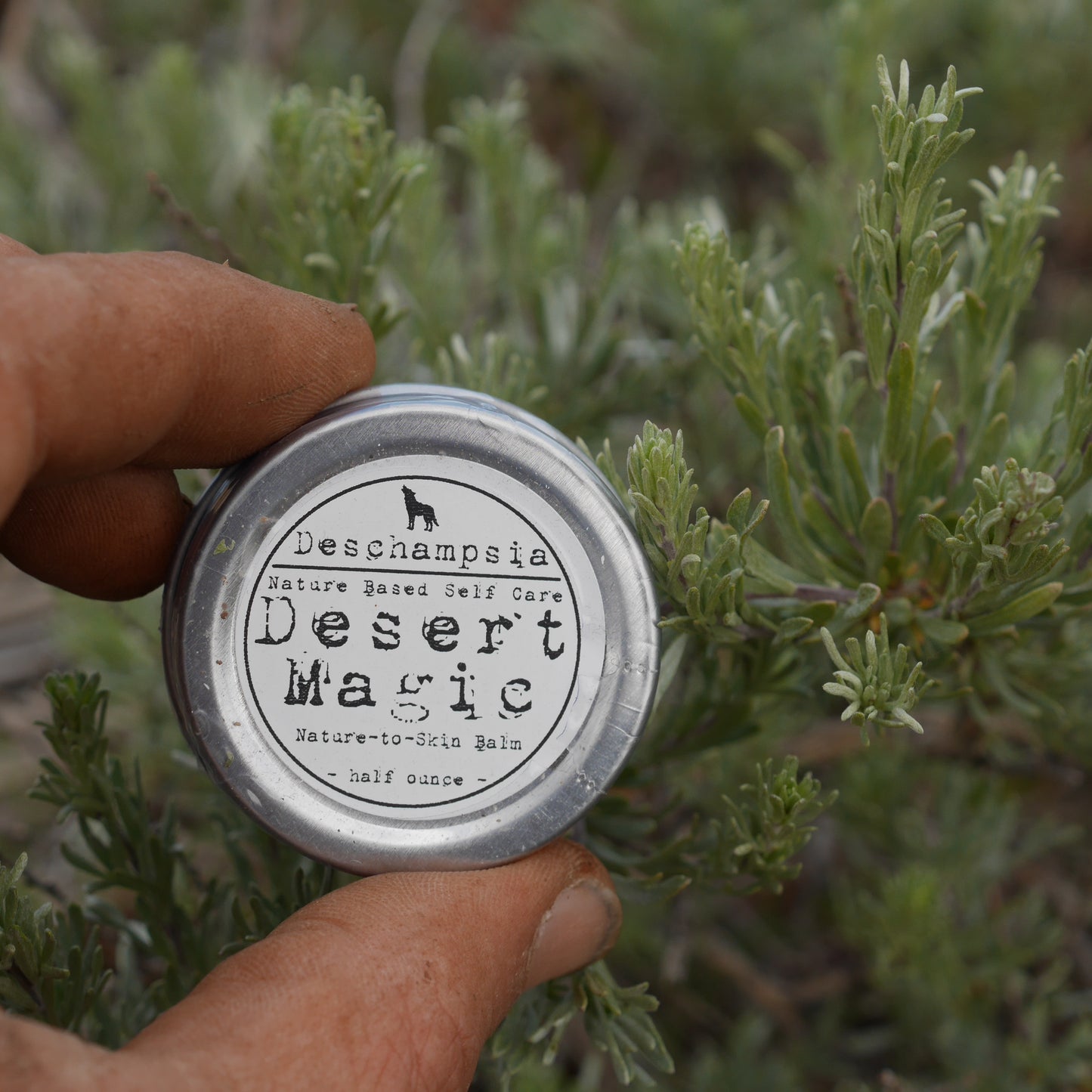 Desert magic balm with sagebrush