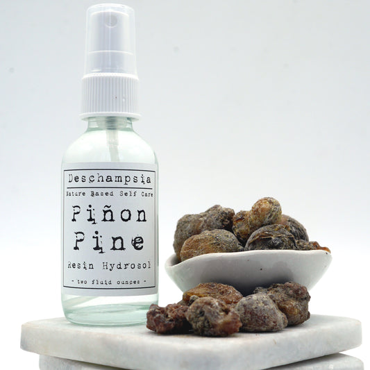 Piñon Pine Resin Hydrosol - Deschampsia - Nature Based Self Care
