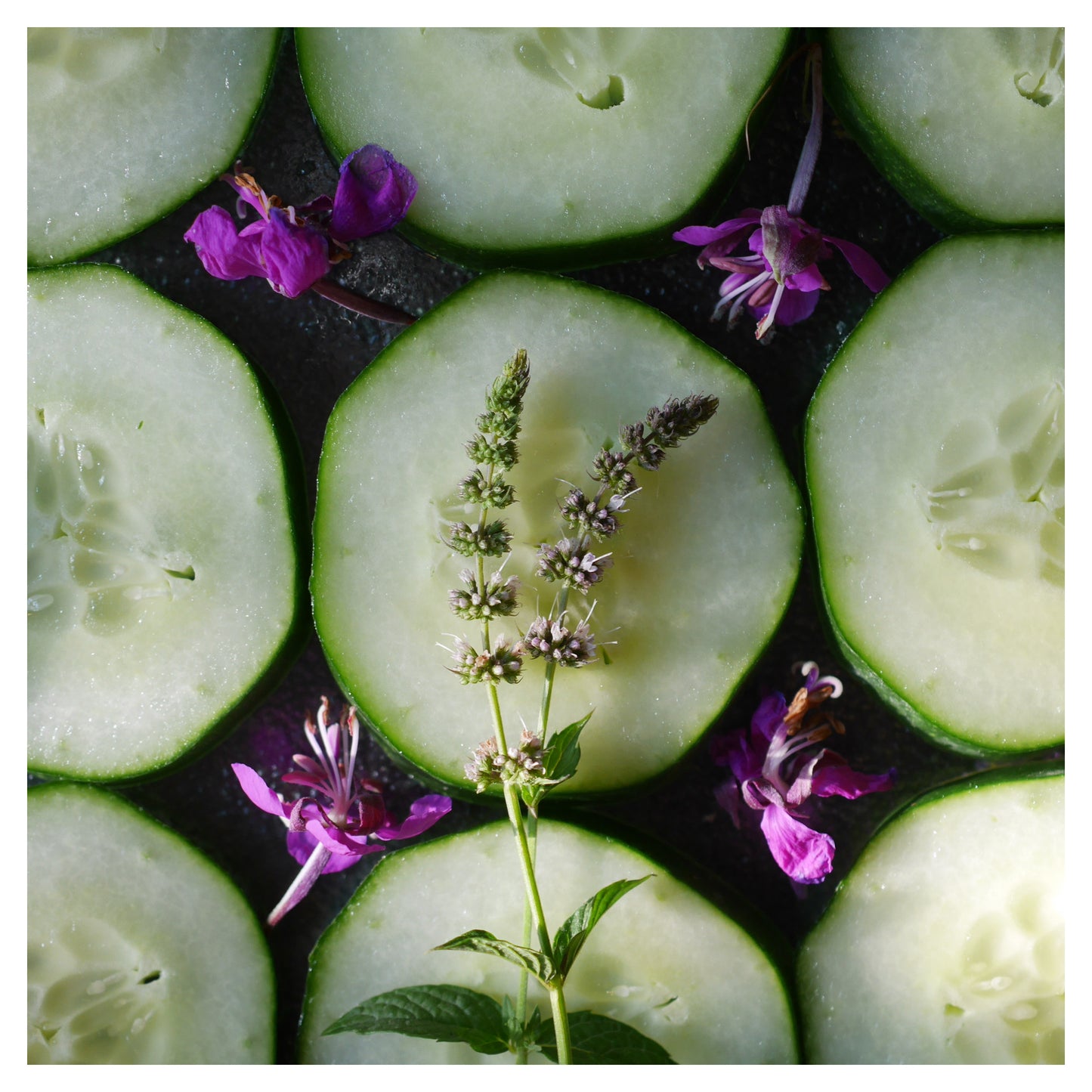 Cooling Cucumber Mint & Fireweed Hydrosol - Deschampsia - Nature Based Self Care